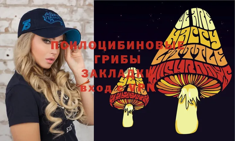 Псилоцибиновые грибы MAGIC MUSHROOMS  MEGA ссылки  Зерноград 